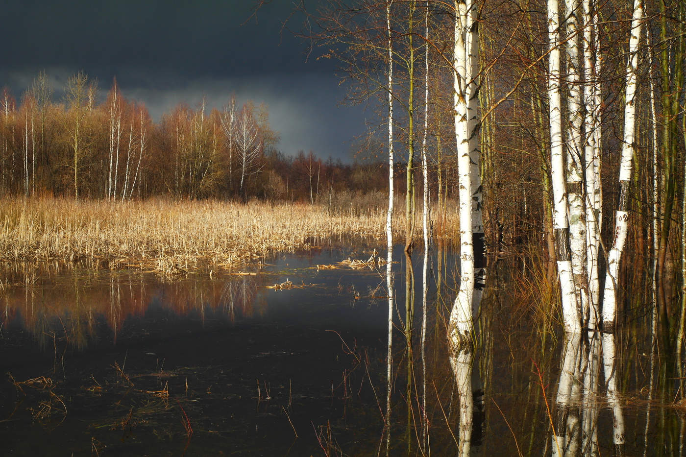 А потом пошёл град...