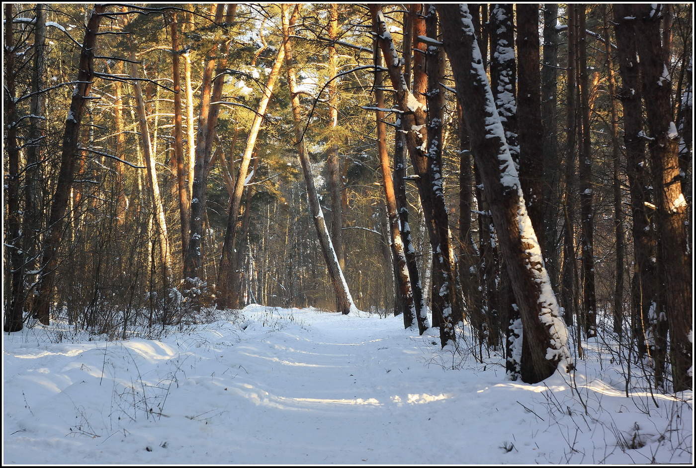 зимний полдень