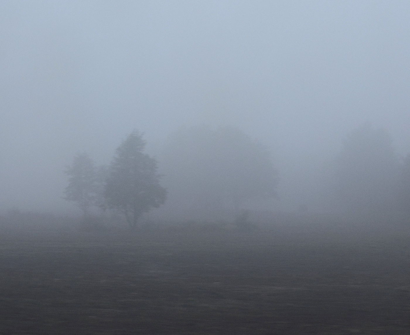 Таинственное утро ...