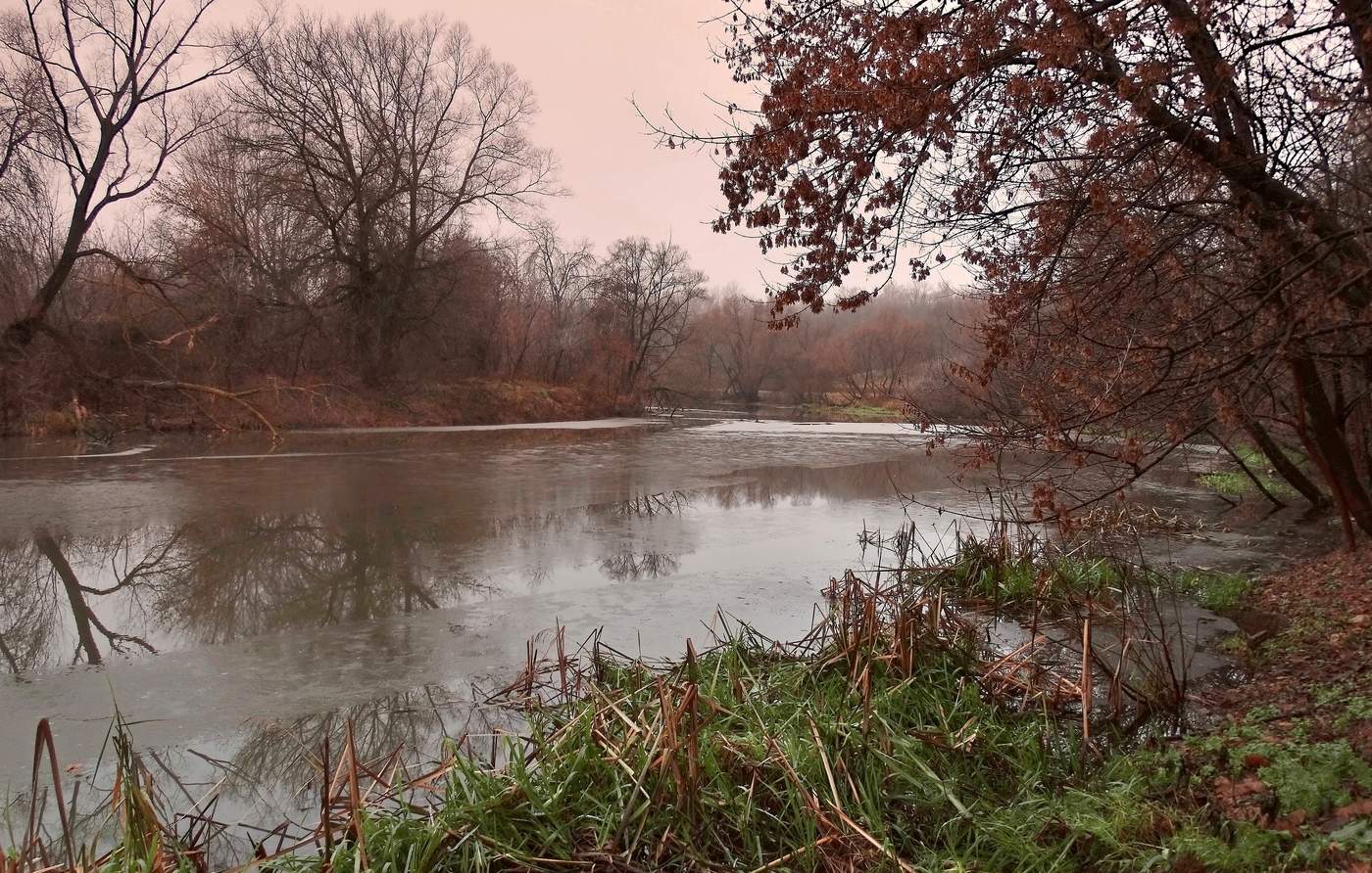 Декабрьская оттепель