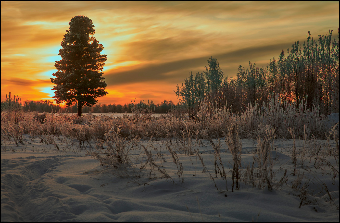 Декабрьское утро