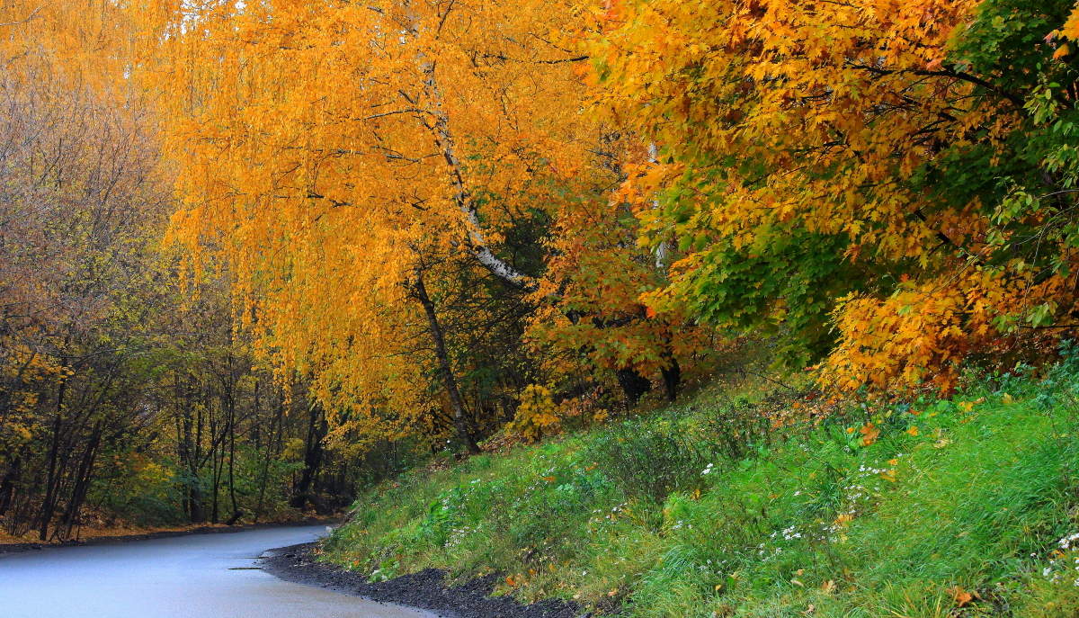 Воспоминание об Осени!