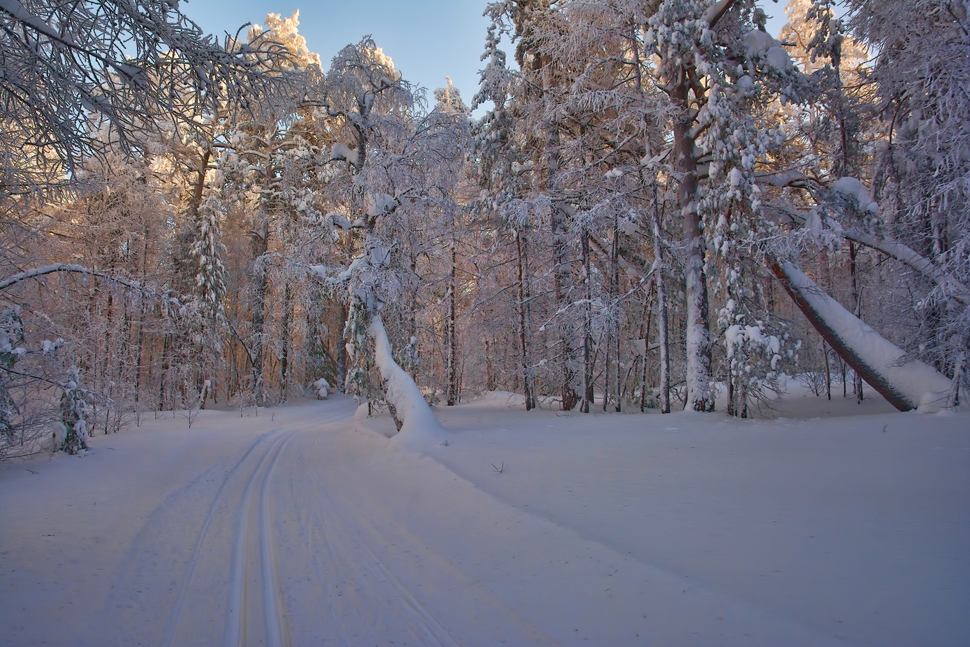 Убегающая вдаль