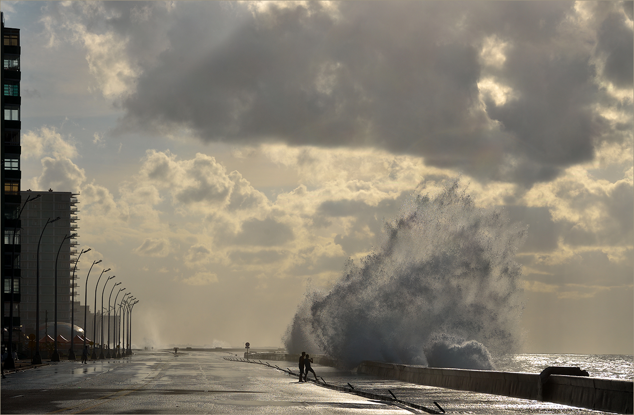 Зарисовка в контровом свете