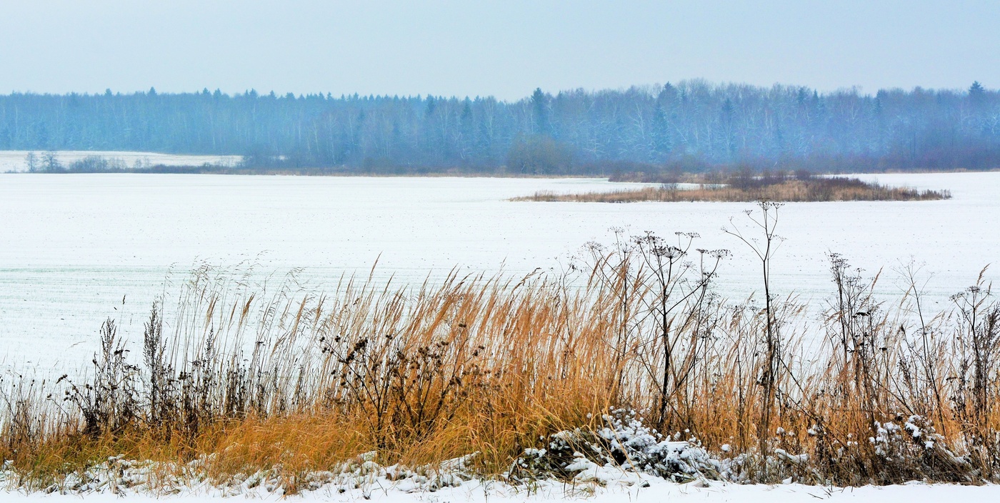 Зимний этюд ...