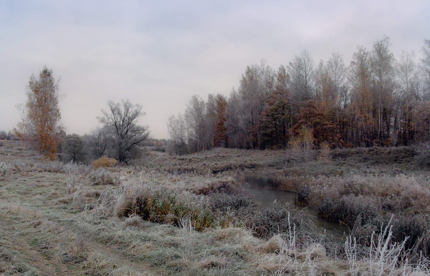 Первые заморозки,как предвестник скорой зимы