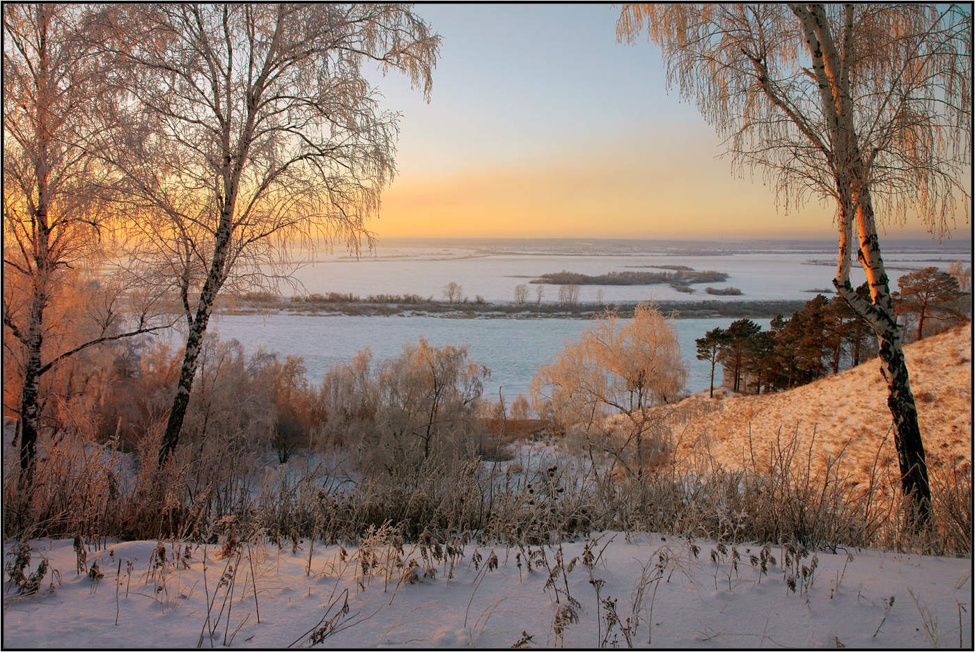 Без названия