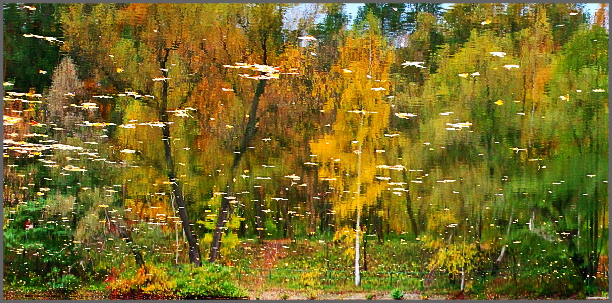 Акваимпрессионизм осени.