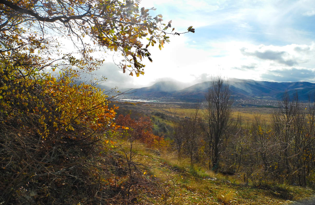 Осенний дождик.