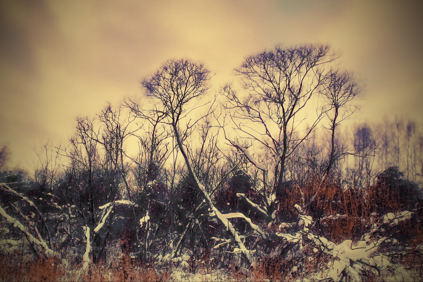 ЗИМНИЕ СУМЕРКИ