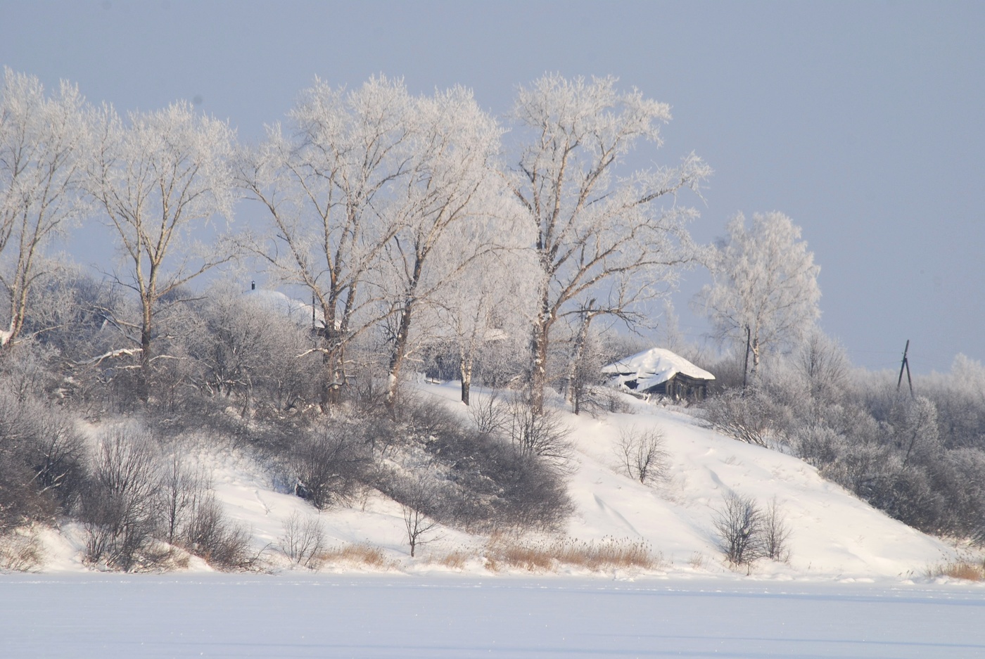 У леса на опушке