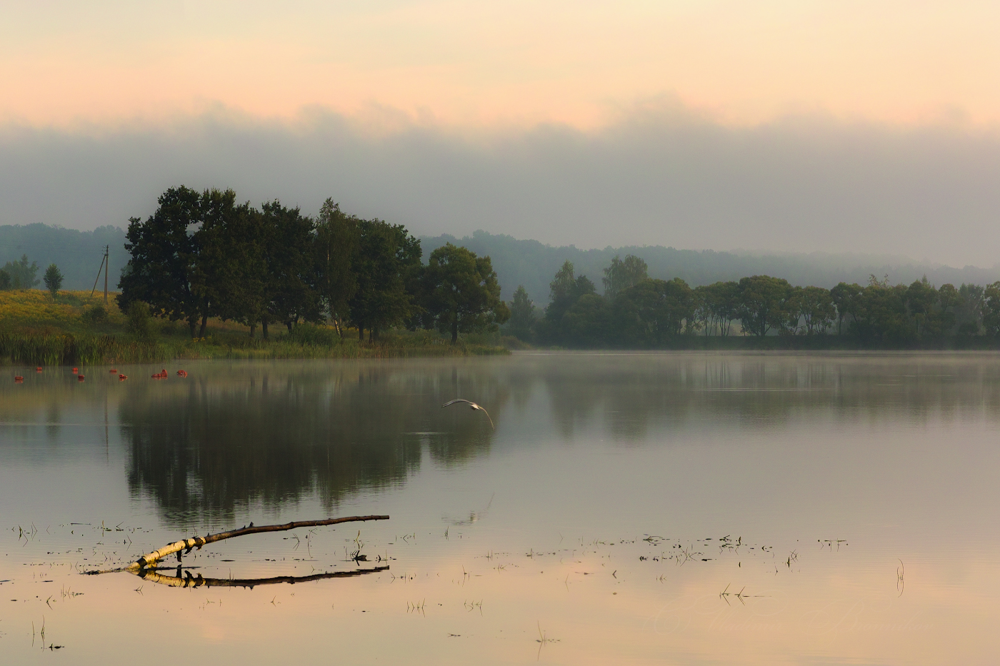 Над утренним озером