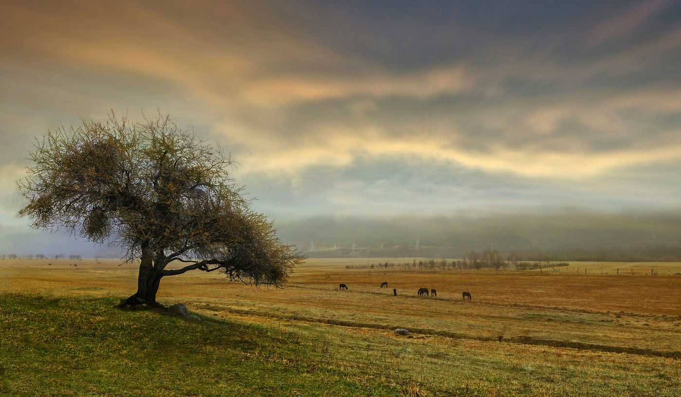Auf den Straßen des Herbstes.