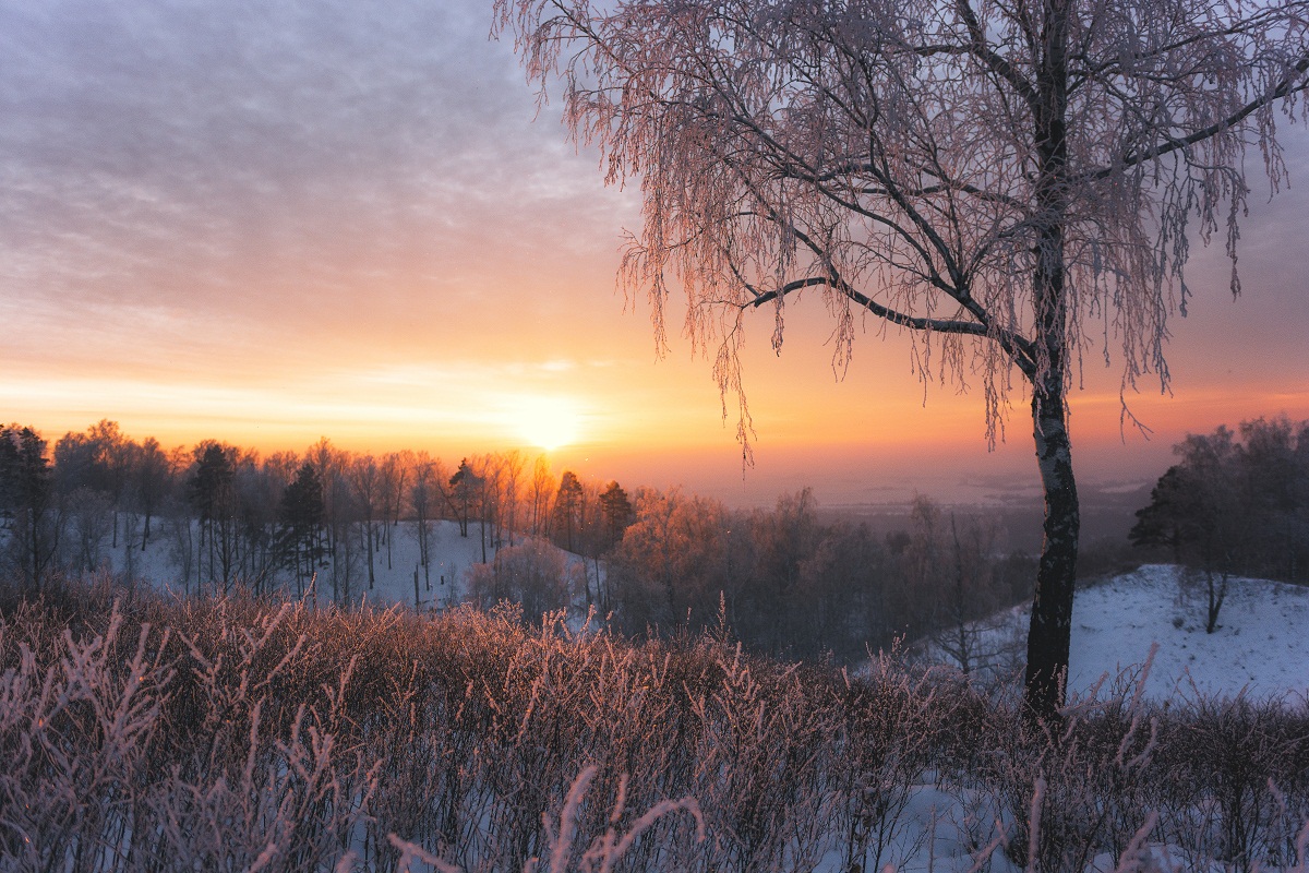 Зимний свет.