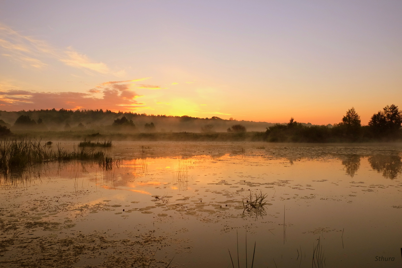 Лето. На рассвете.