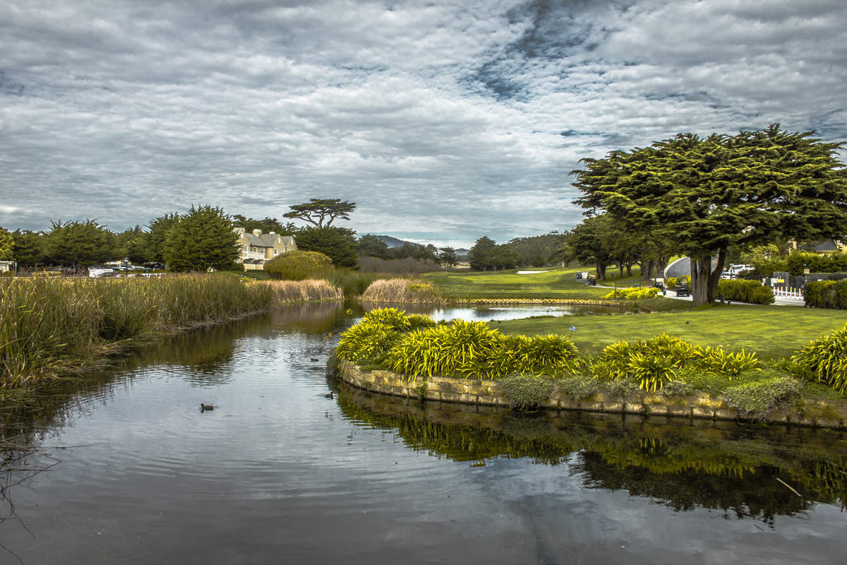 Раскудрявый денёк