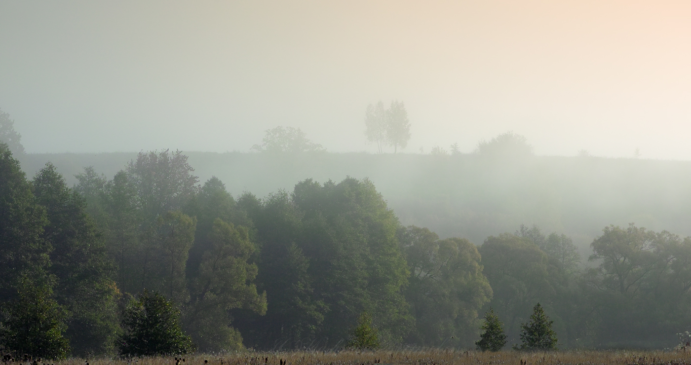 Туманные перспективы