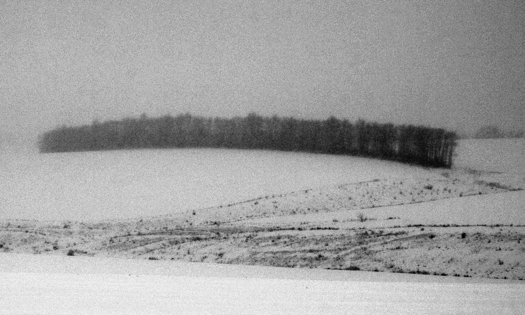 Зернистая пятница