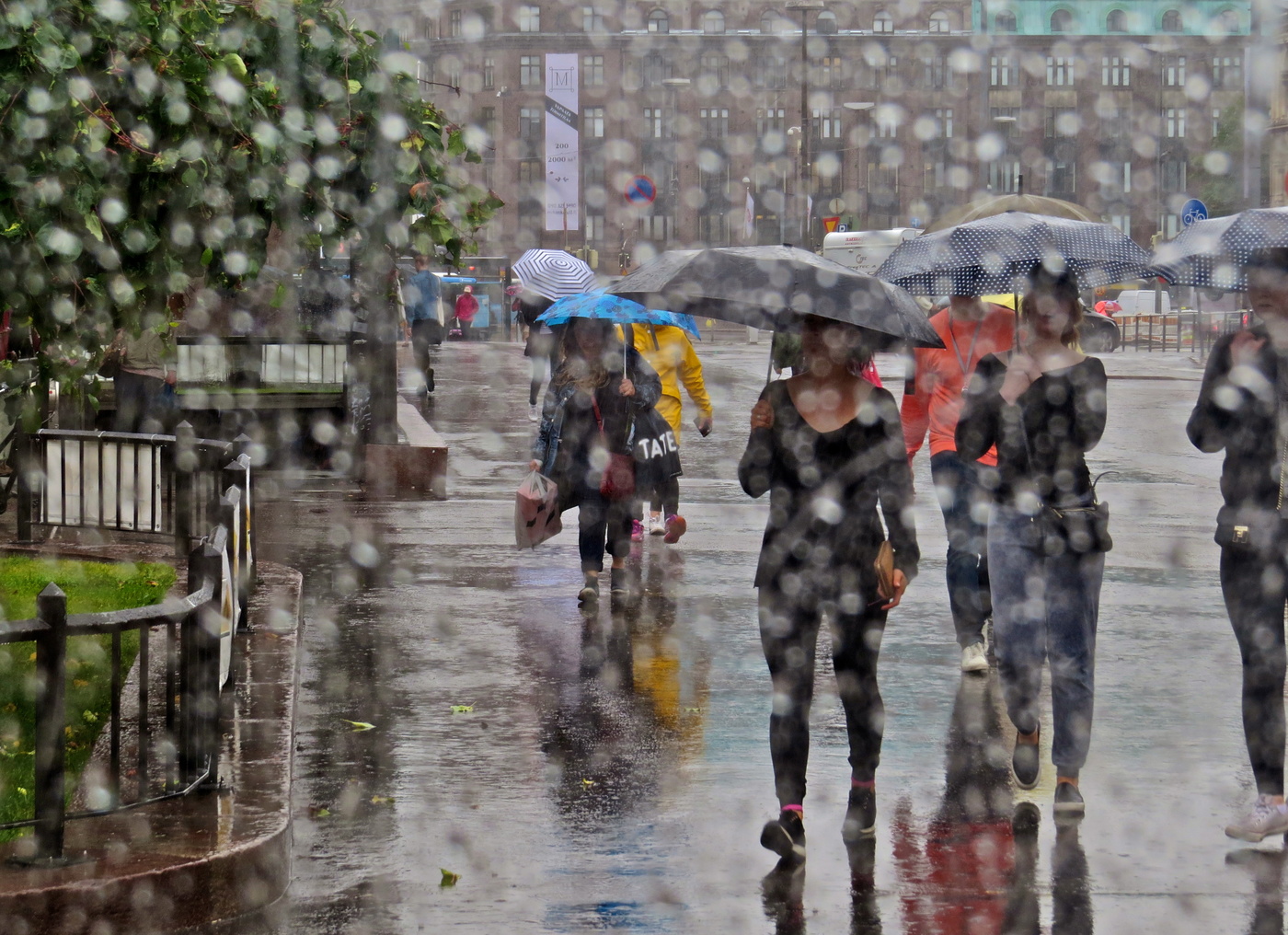 Долгий дождь