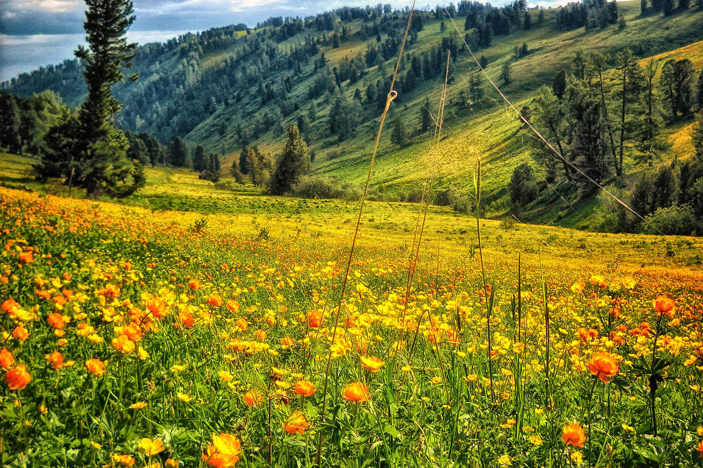 Уймонская долина.