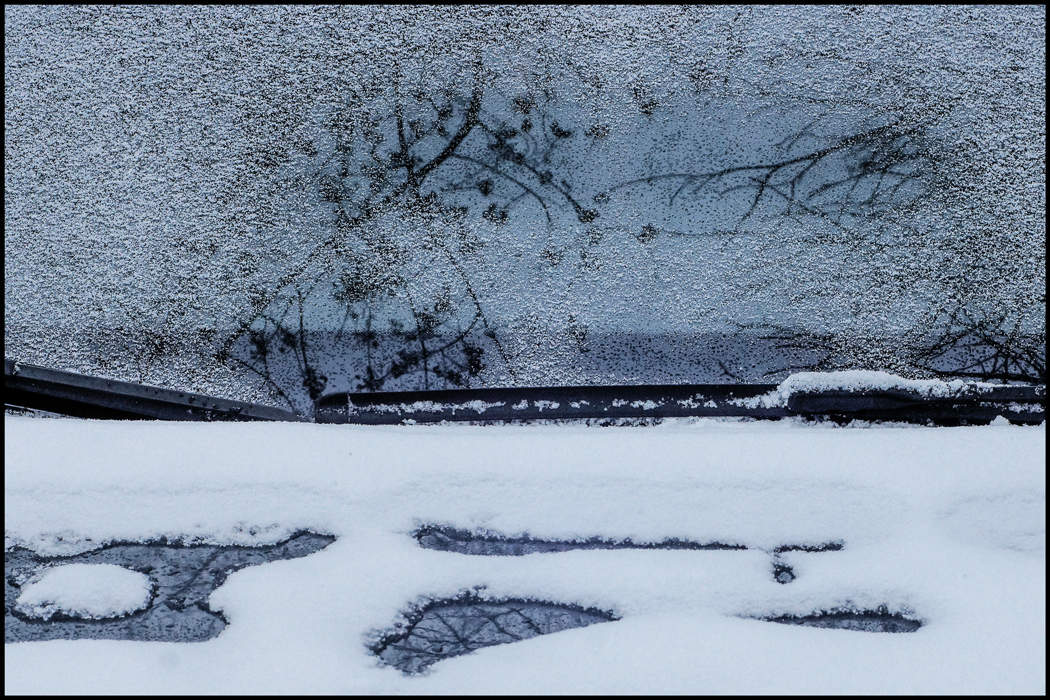 Зернистая пятница