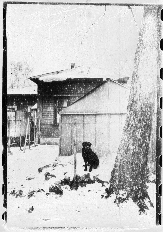 Зернистая пятница