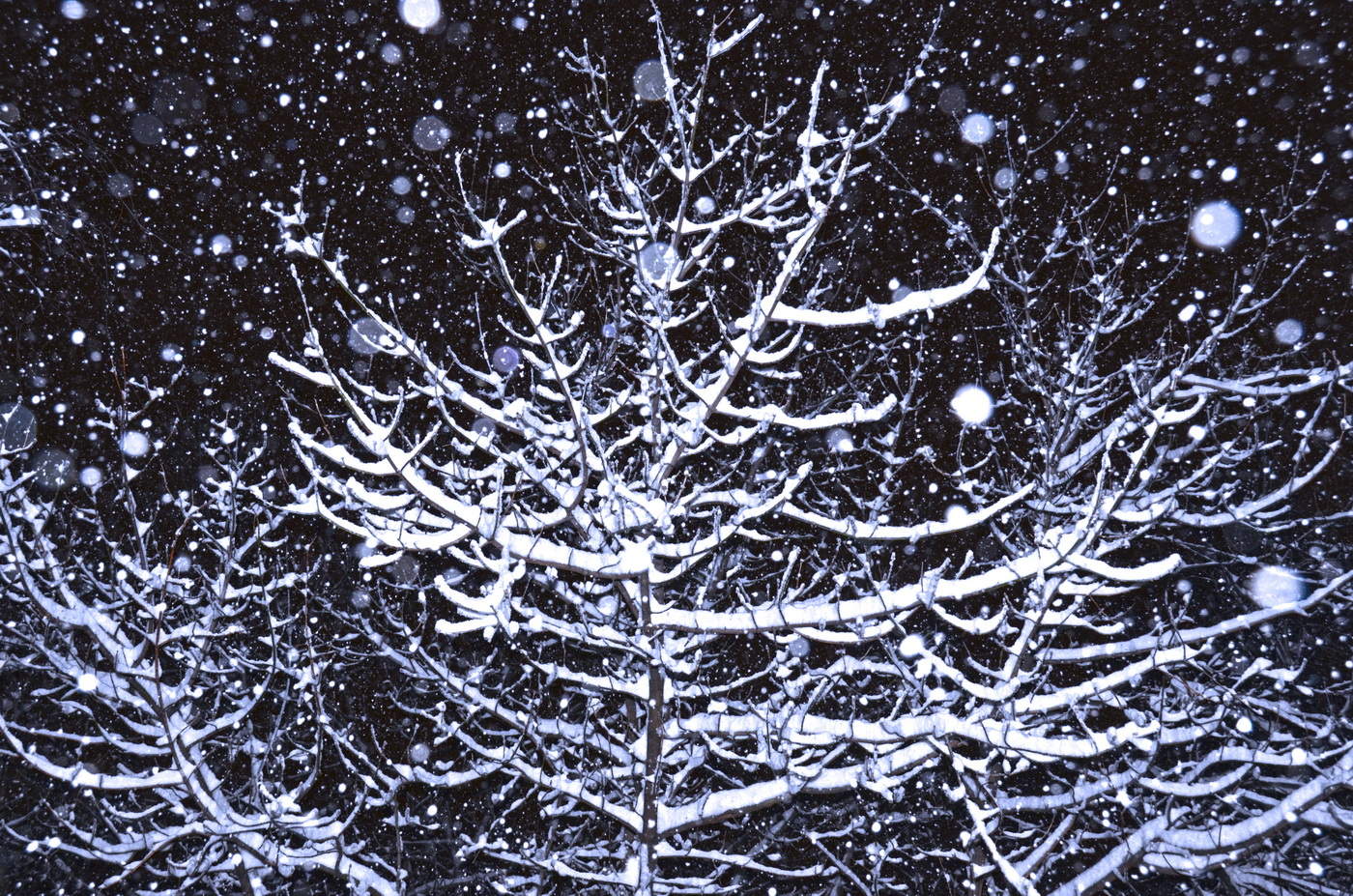 Зернистая пятница