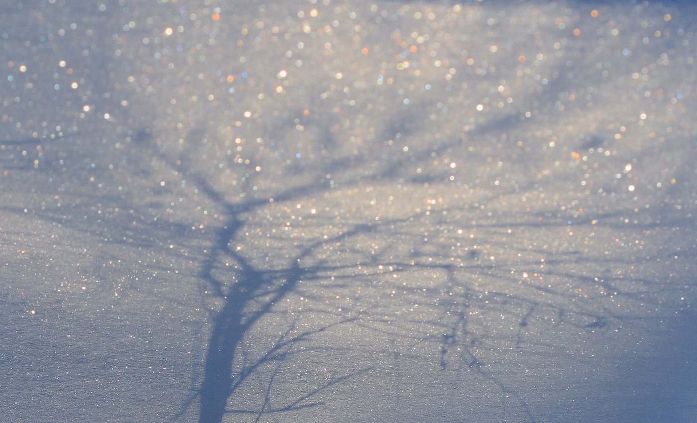 Зернистая пятница