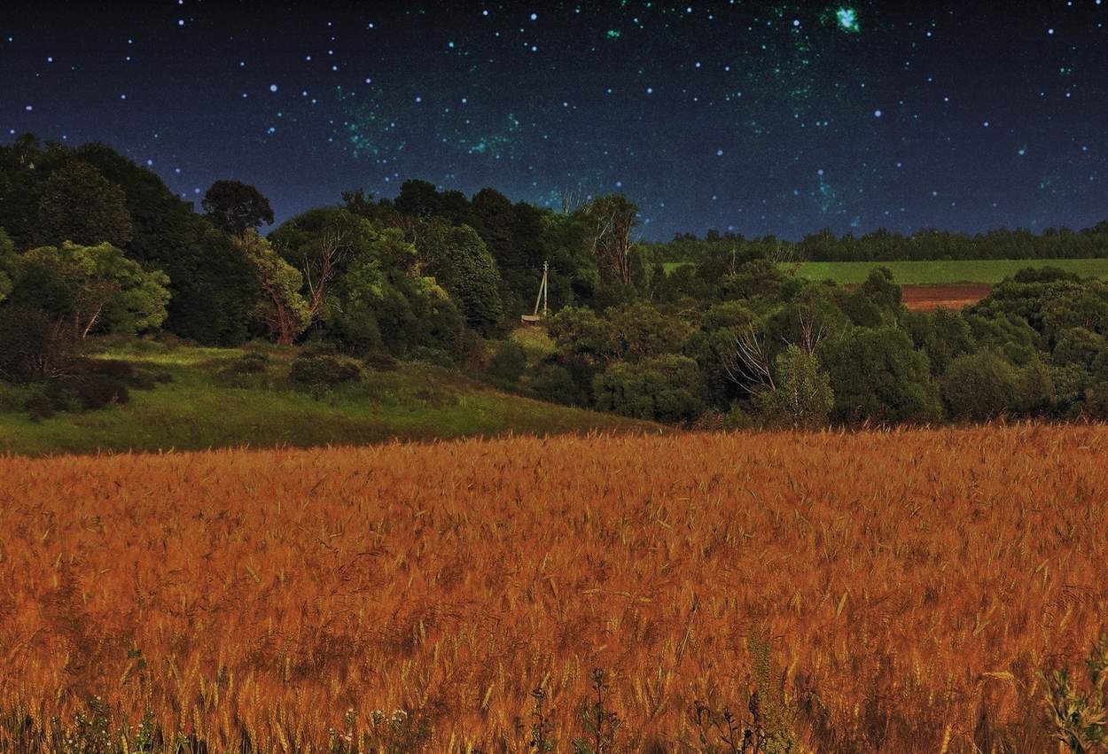 Зернистая пятница