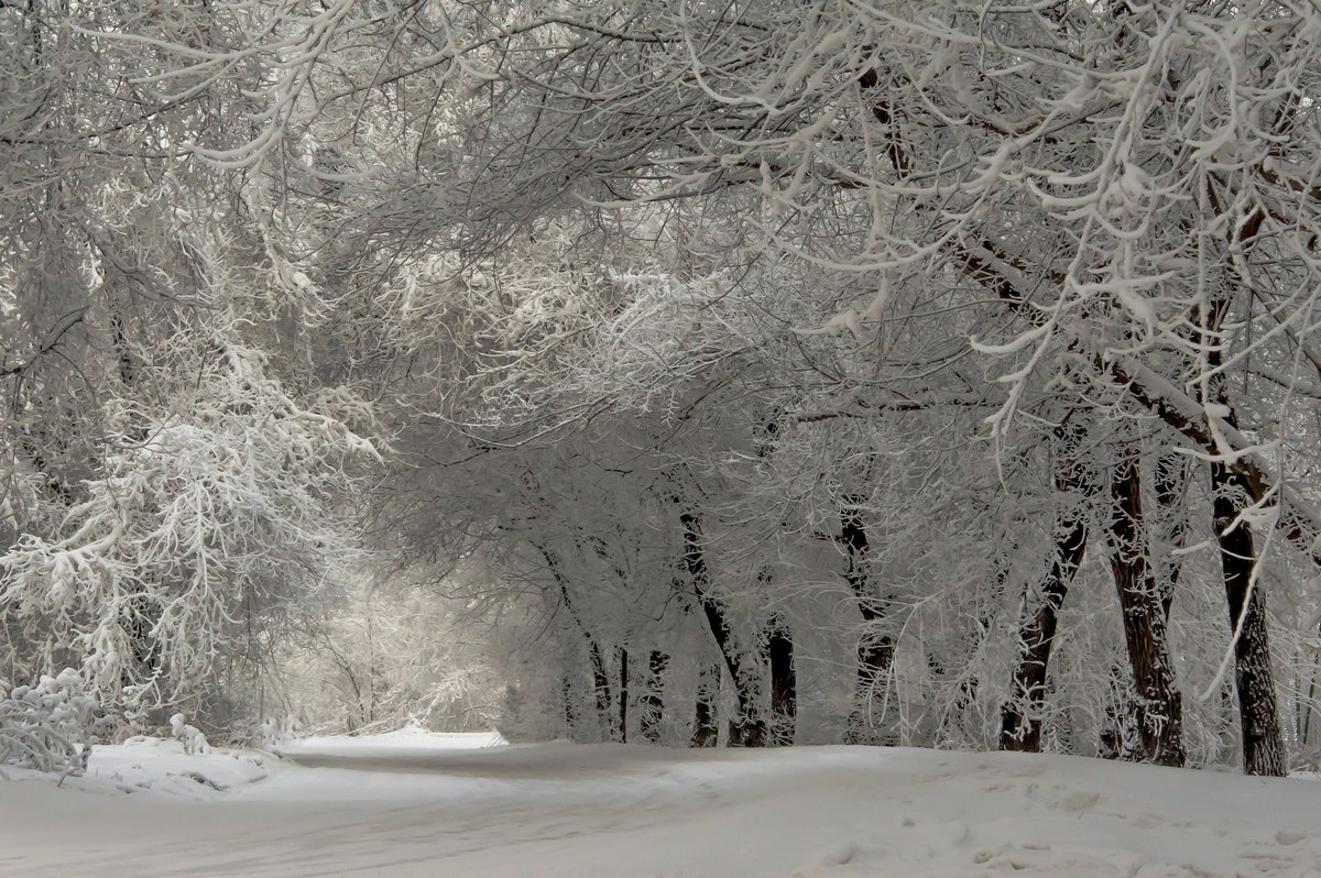 Снежная арка