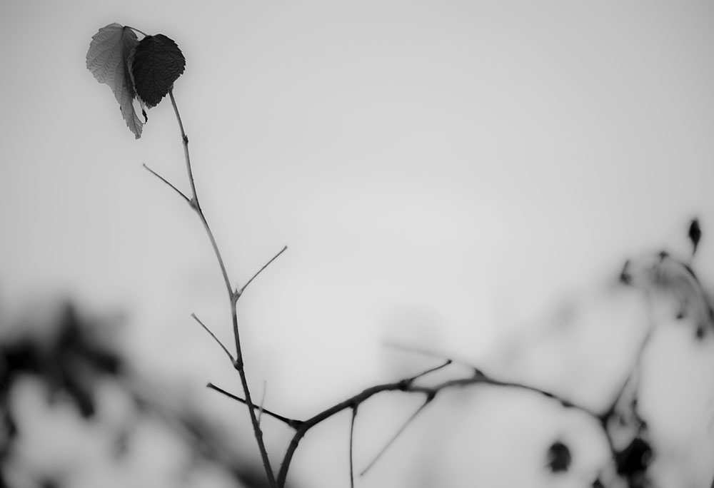 зима. начало