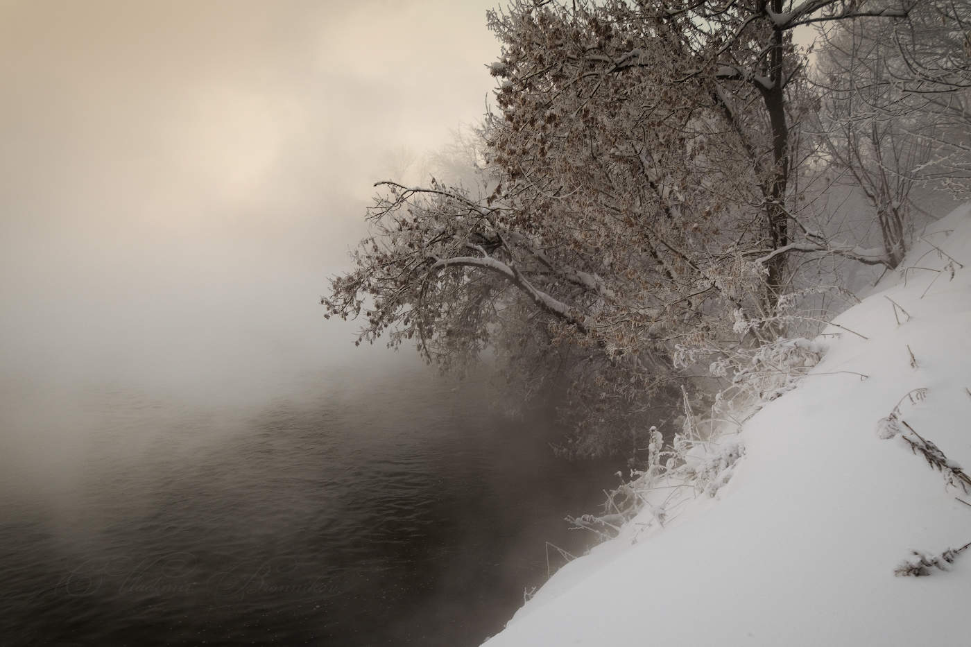 Над студёной водой