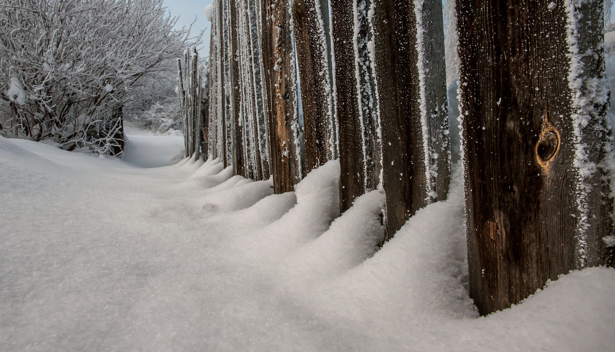 И тропинку замело...