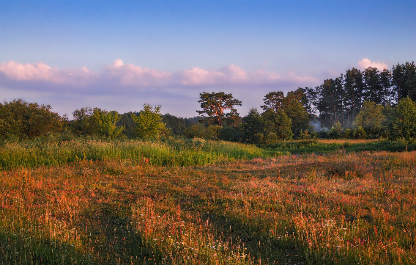 Летний вечер