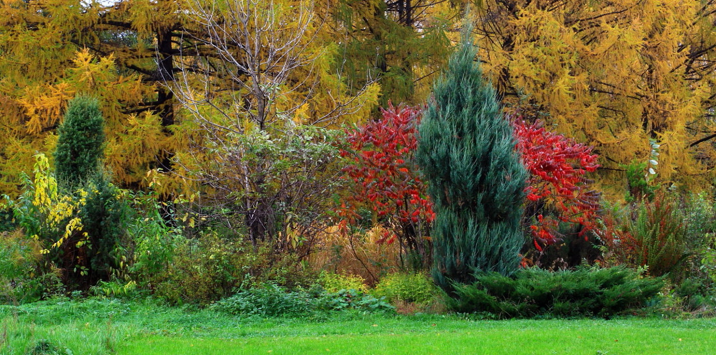 Колорит Осени.