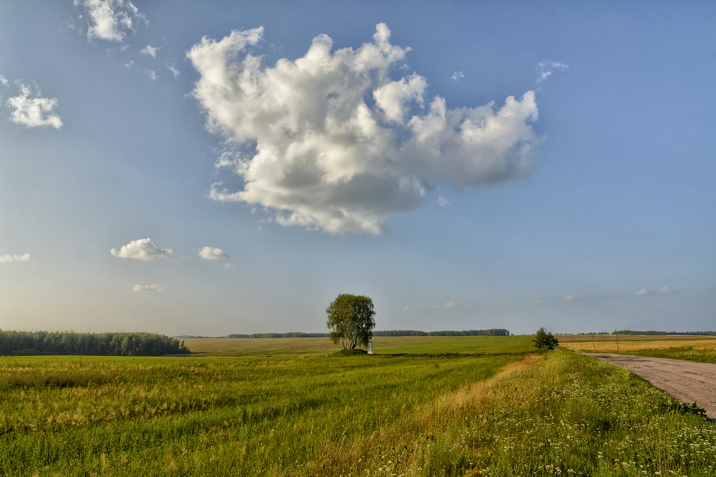 по дороге в Вщиж