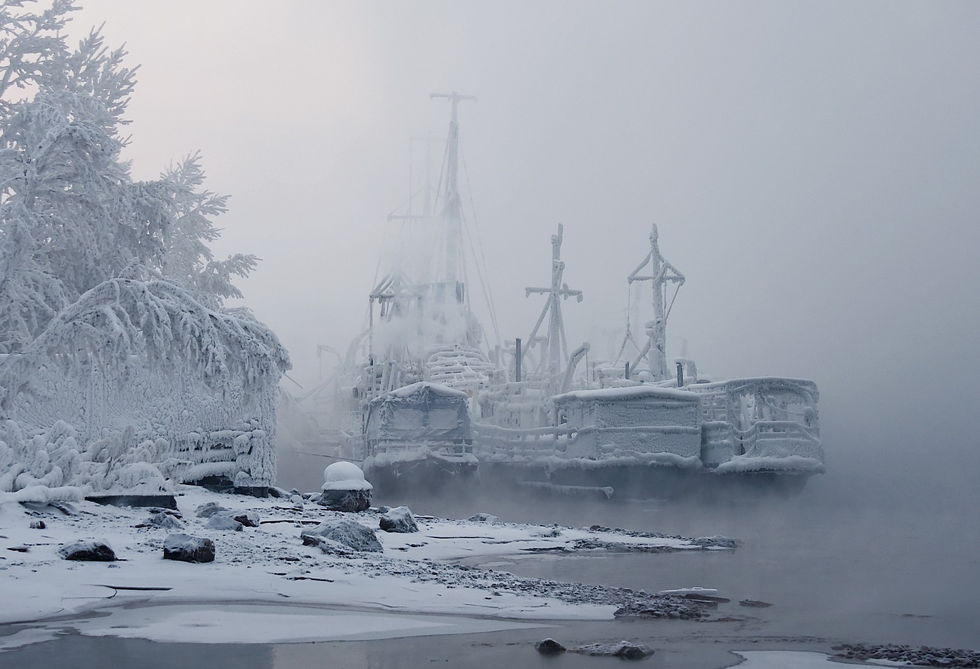 Зимний сон.