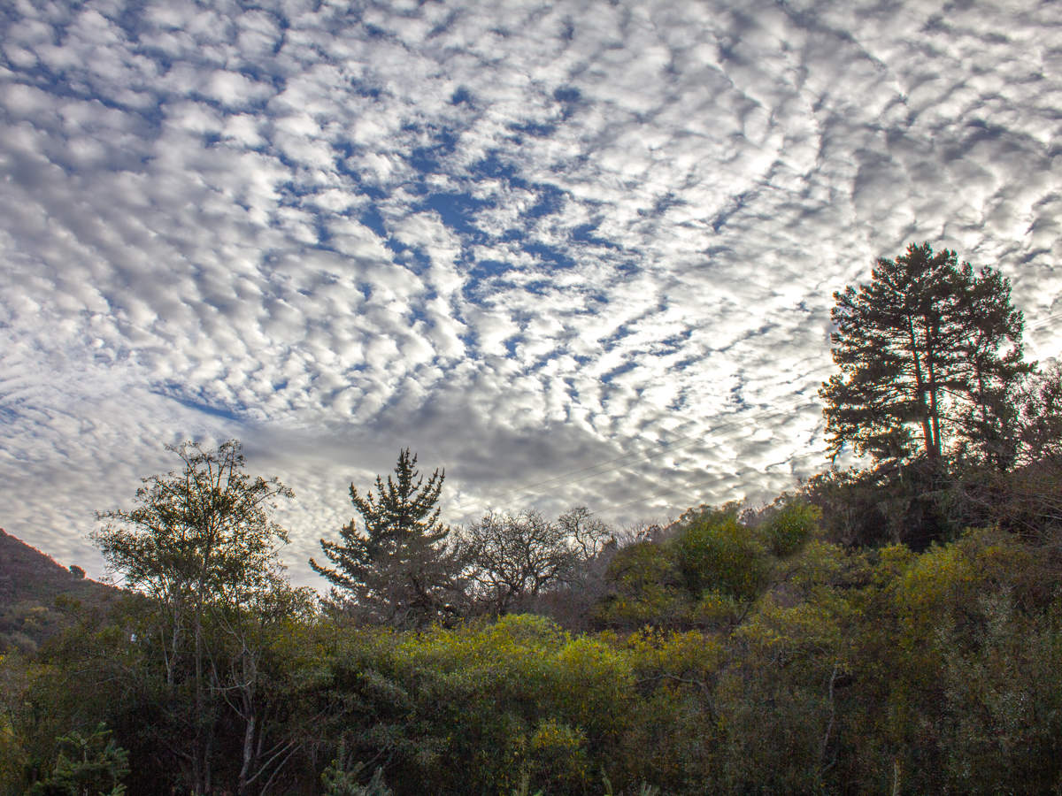 Удивительный день