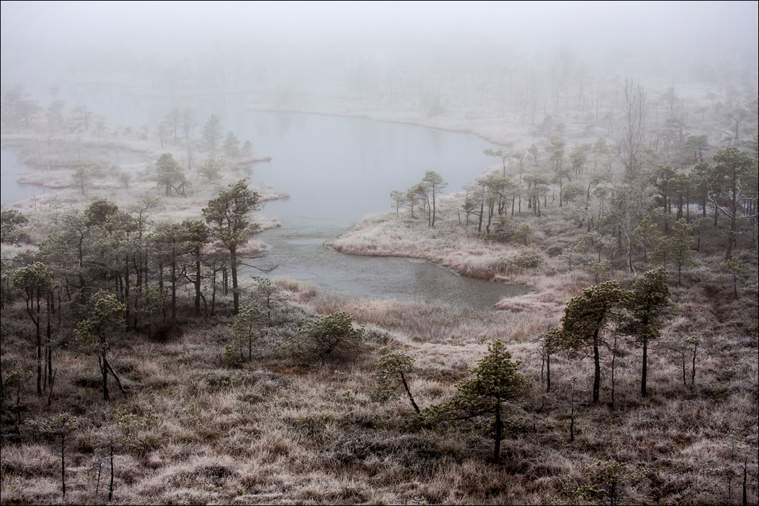 Мир низкорослых