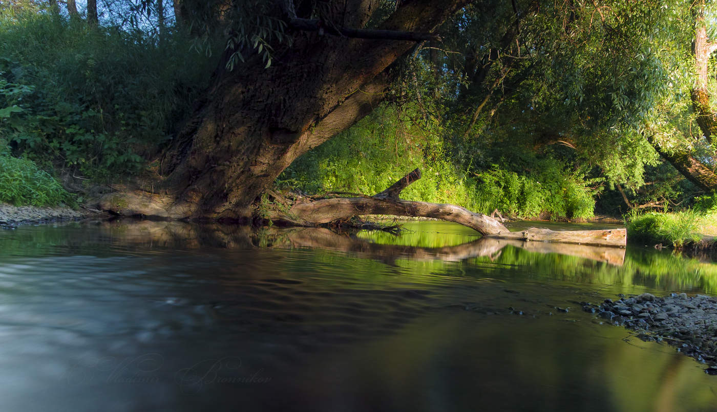 Тёплым вечером у брода