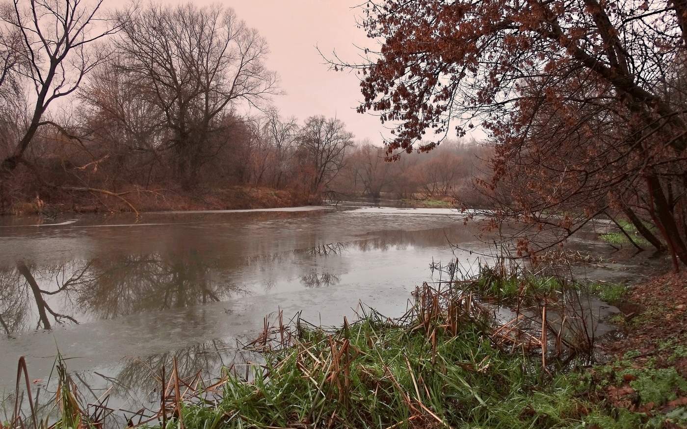 Тёплый декабрь