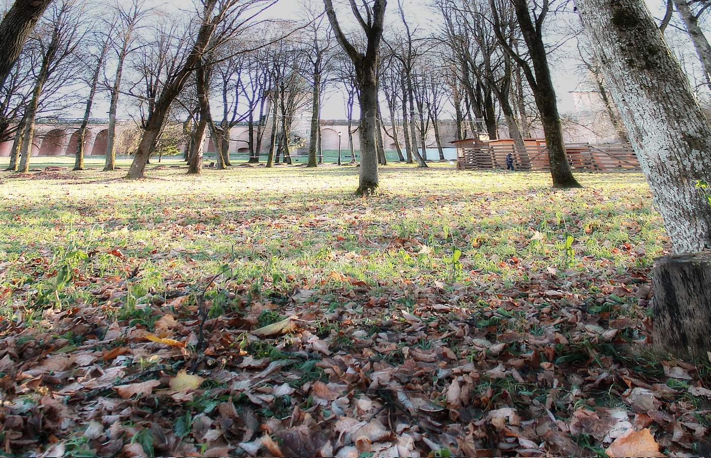 На излете осени