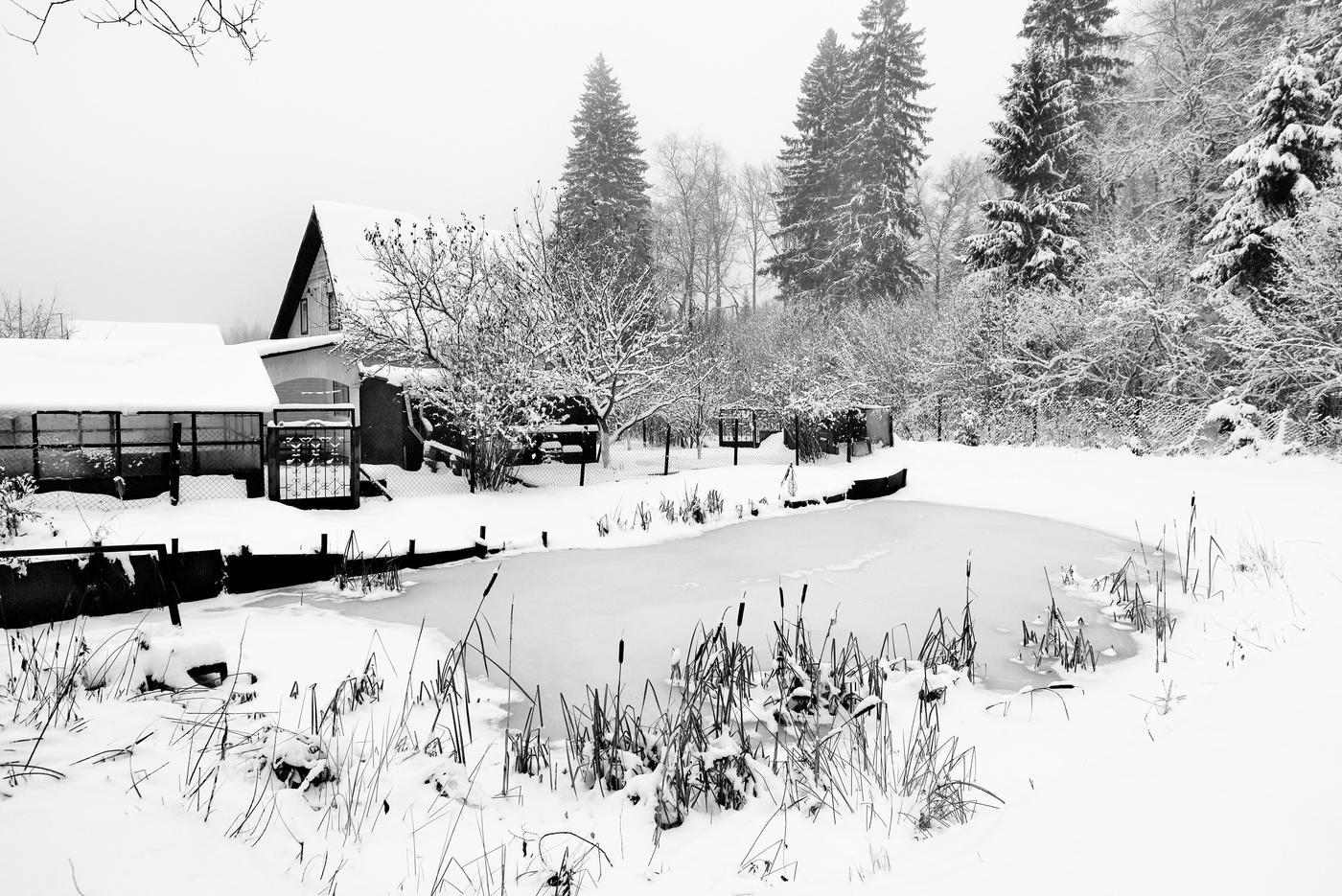 "Лишь глушь и снег ..."