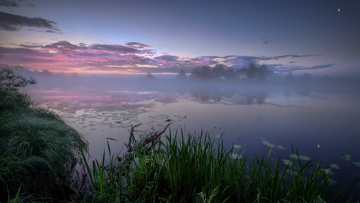 Июньские туманы