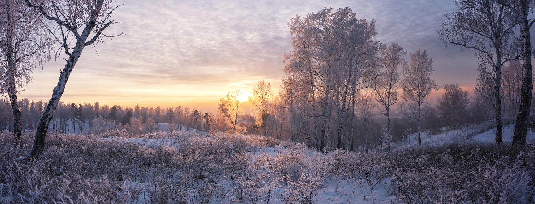 Вечерний свет.(2)