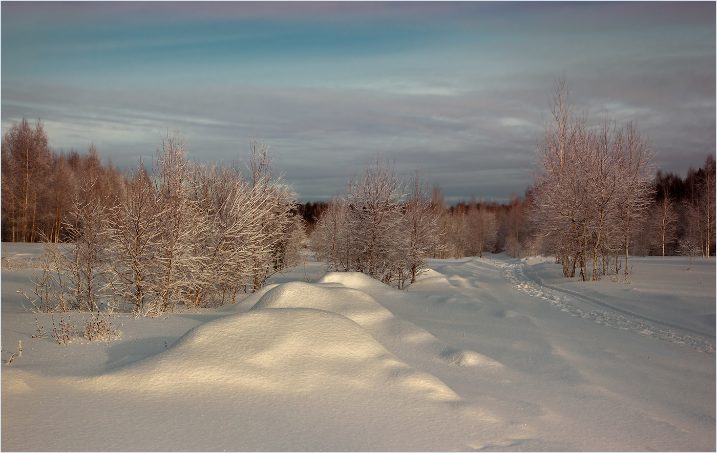 Зимние прогулки