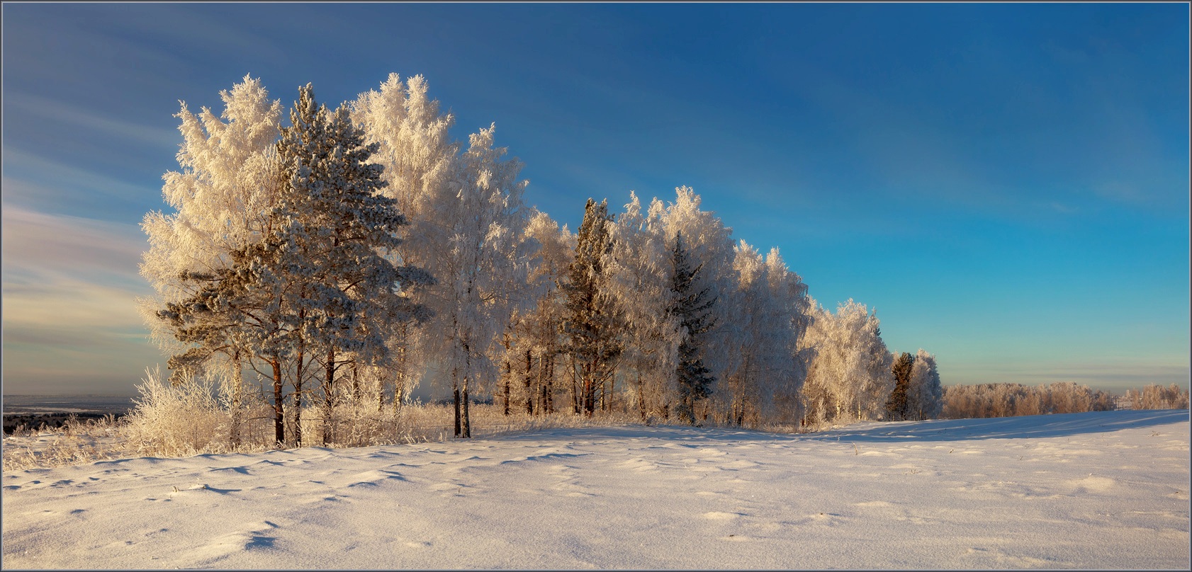 Зимние просторы