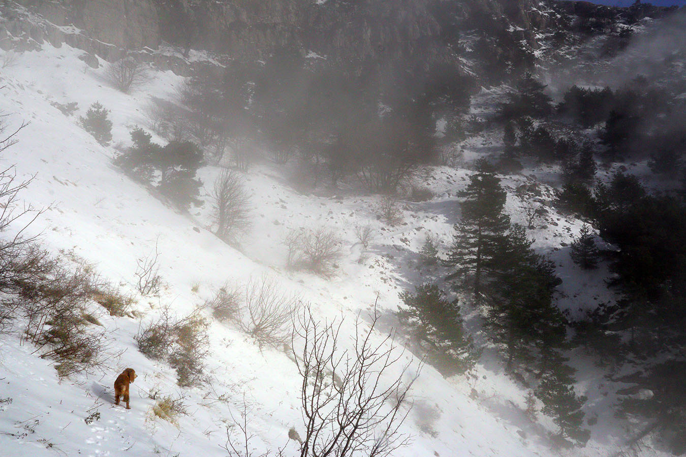 На горном склоне