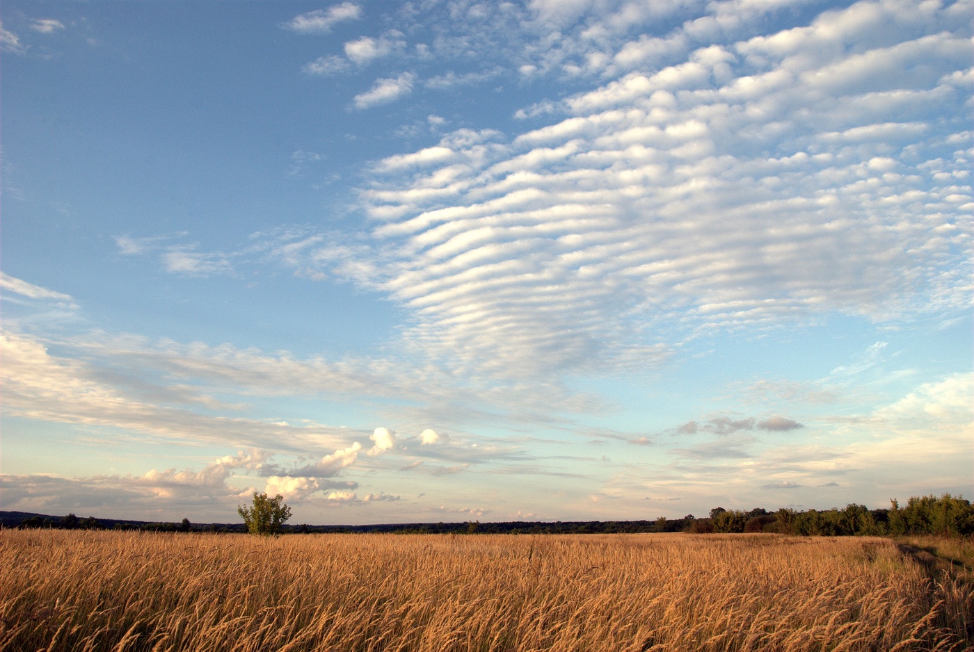 Небесные барханы.