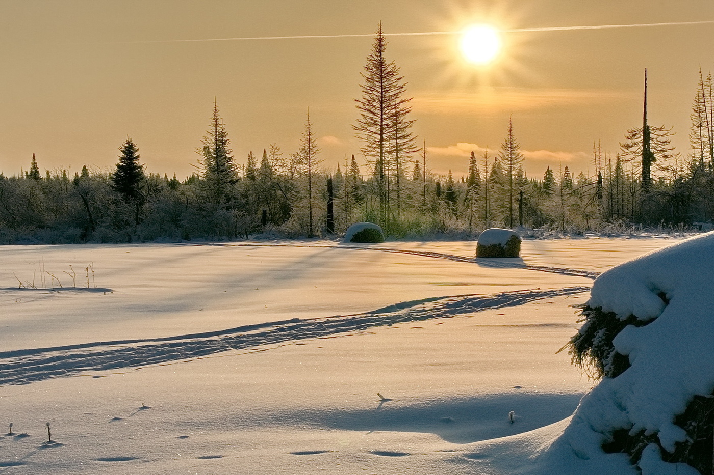 ЗИМНИЙ ДЕНЬ
